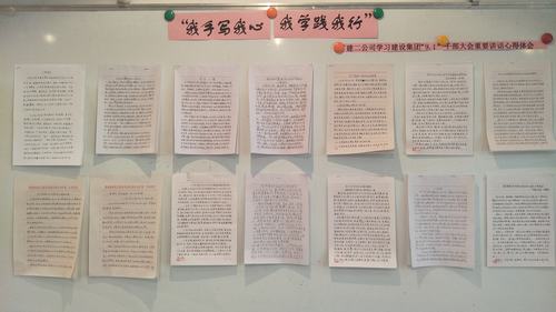 “我手寫我心,我學(xué)踐我行”