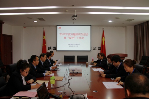 大秦置業(yè)公司:緊嚴并舉開好黨支部2017年度專題組織生活會暨雙評工作會