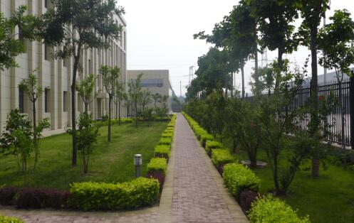 陜西綠宇園林公司：全員齊奏“追趕超越”主旋律