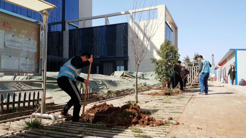 陜煤建設(shè)澄合分公司基層單位開展“植樹護(hù)綠，美麗家園”義務(wù)植樹活動