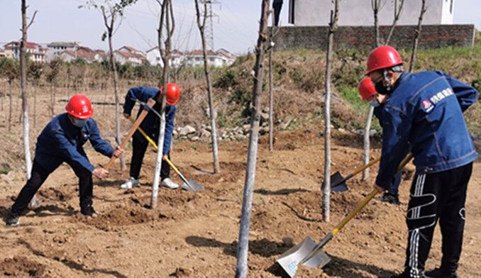 今天你植樹了嗎？