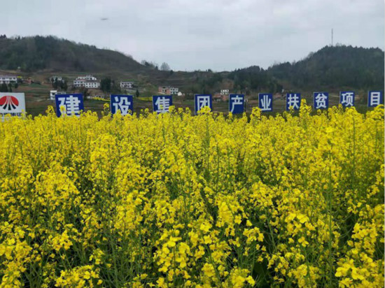 公司領(lǐng)導(dǎo)寧興剛、侯本英到扶貧定點(diǎn)幫扶村看望慰問困難群眾