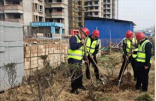 陜煤建設(shè)咸陽分公司第五項(xiàng)目部植樹活動(dòng)如火如荼進(jìn)行中