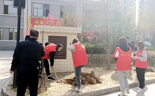 陜煤建設(shè)公司：開展綠化補種 打造美好家園