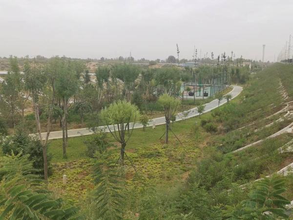 陜煤建設(shè)銅煤公司第八項(xiàng)目部承建的靖神鐵路站區(qū)景觀綠化工程順利通過竣工驗(yàn)收