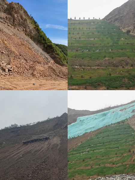 渣山變綠林，碎石堆場(chǎng)批“綠裝”