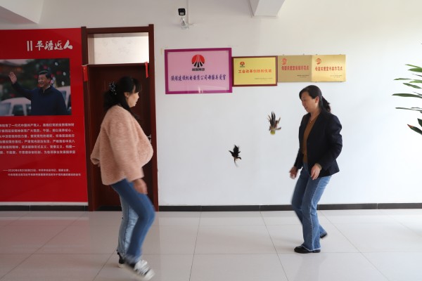 陜煤建設(shè)機(jī)電安裝公司開(kāi)展“迎五一 慶五四”趣味文體活動(dòng)