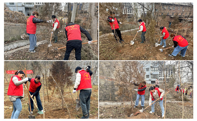 陜煤建設(shè)機(jī)電安裝公司：走，上春山，植樹(shù)去！