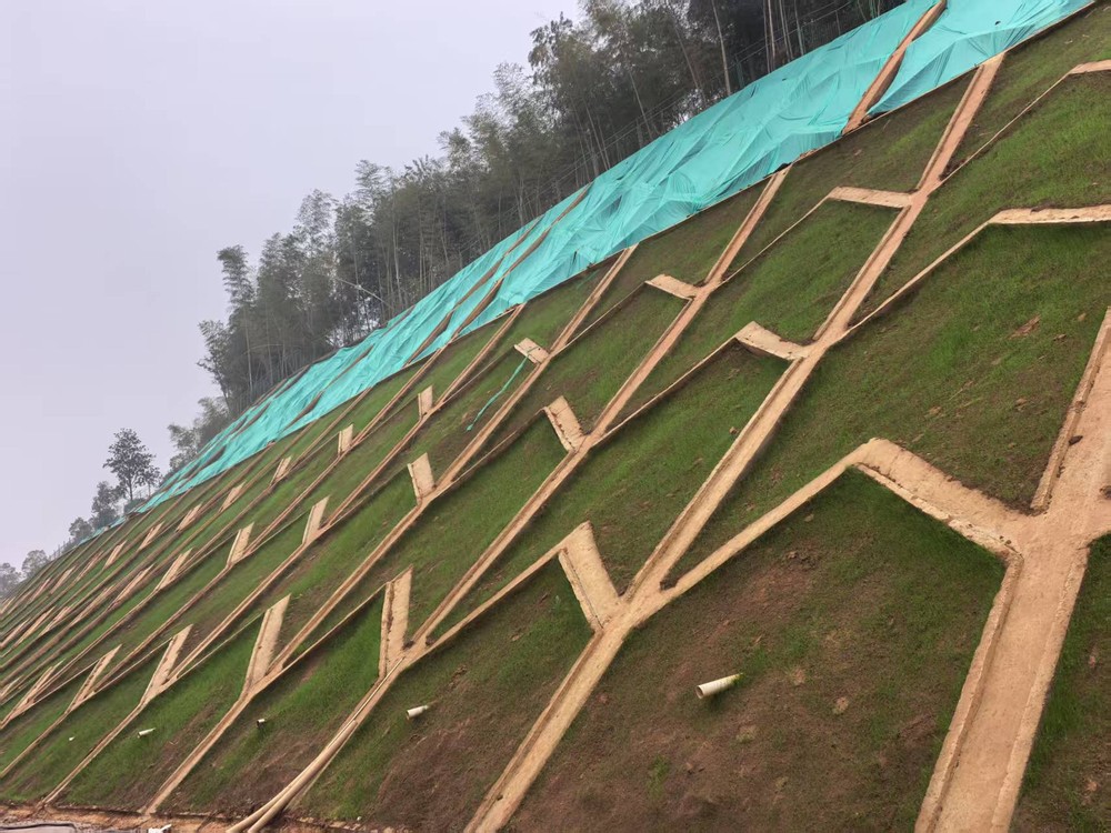 陜煤建設(shè)西北分公司：邊坡披綠衣，防護(hù)顯匠心