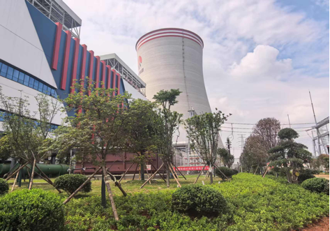 陜煤建設西北分公司：綠意盎然入電廠，生態(tài)建設譜新章